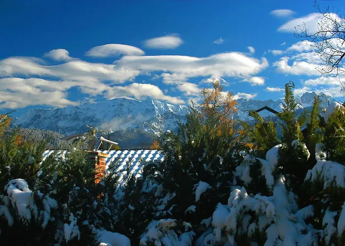 Alpenblick *